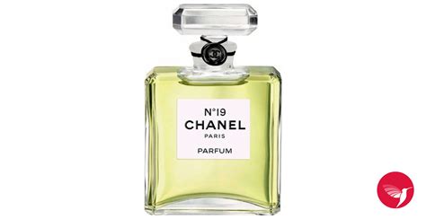 chanel perfume old|perfumes like chanel no 19.